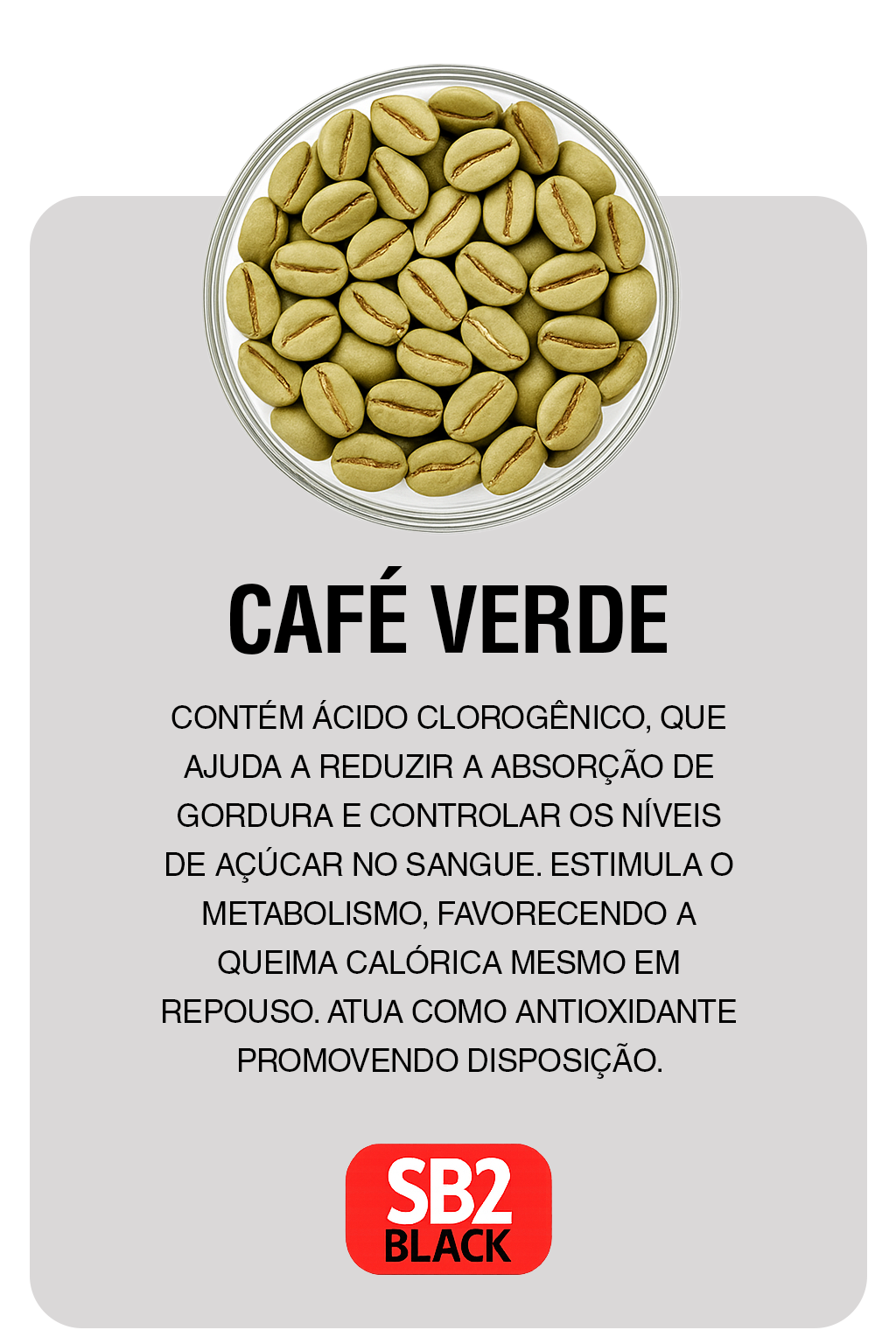 CAFÉ VERDE